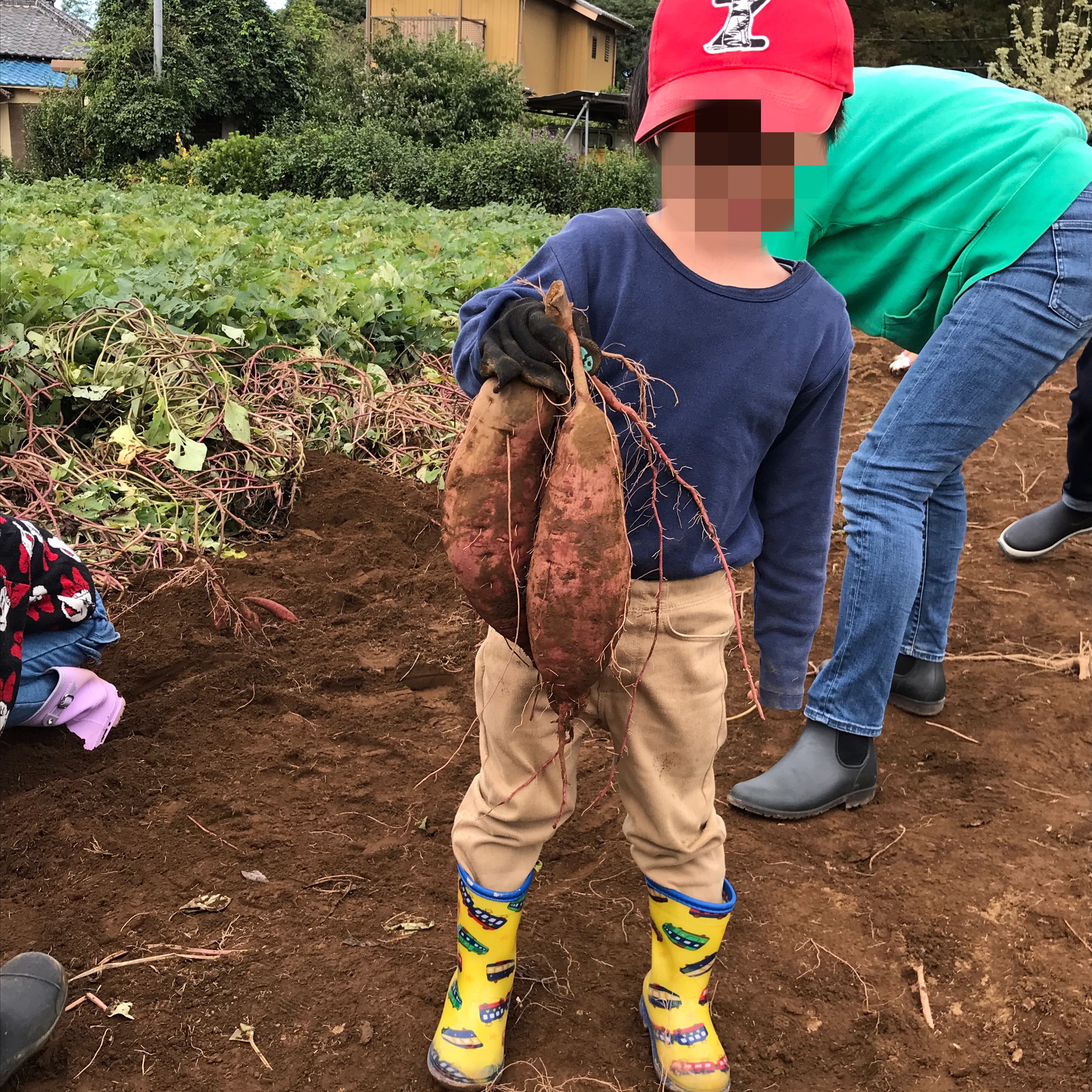 Field Trip to Explore the Earth