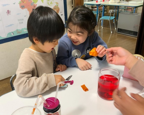 🌷 2026 Spring School(スプリングスクール)のお知らせ🌷